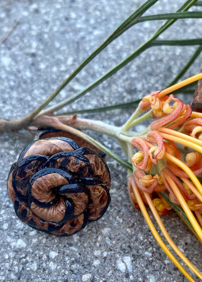 Snakeskin Flower Ring - Dark Tan